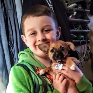 Meet your Posher, Robert